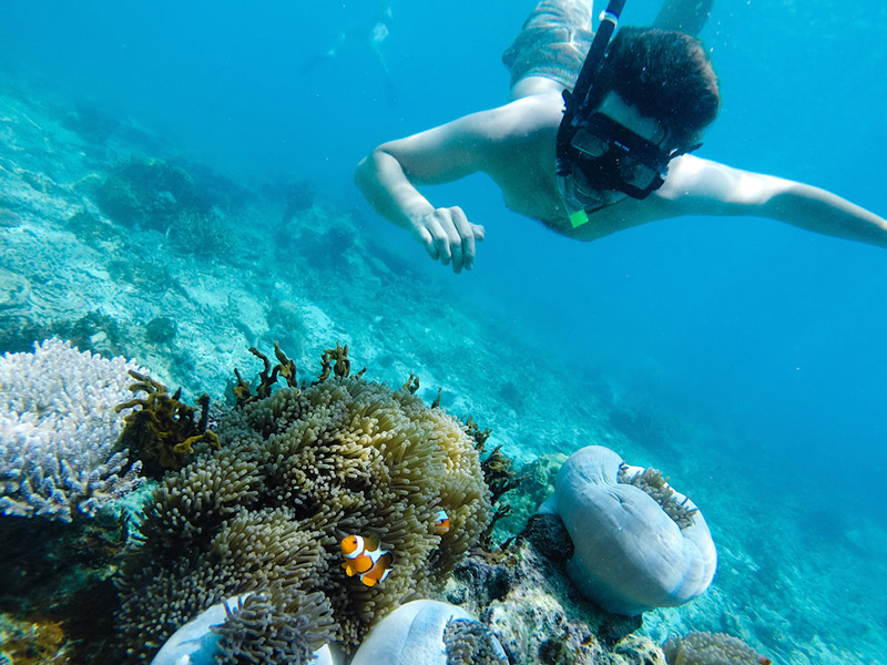 尽情的享受潜水